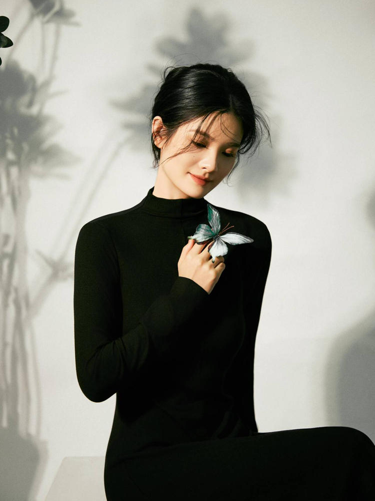 Photography Lighting Portrait - New Simple Chinese Style High-End Black