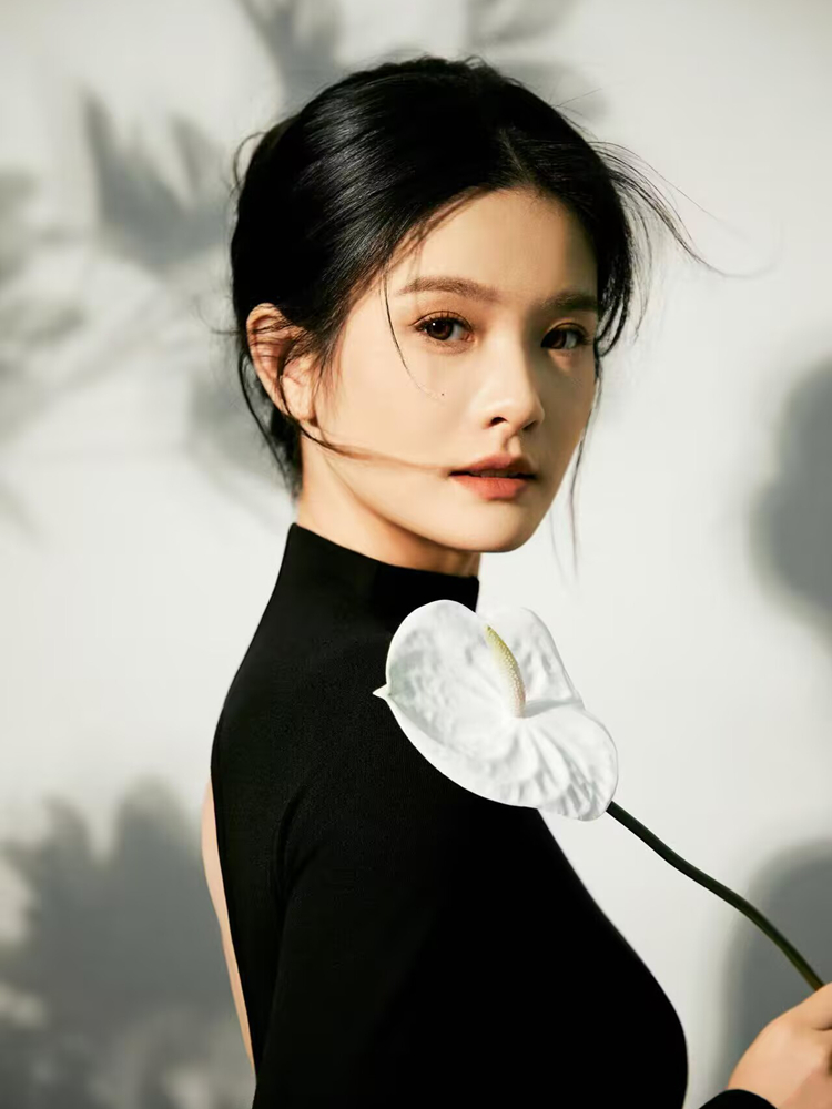 New Simple Chinese Style High- - огляд і ціна Photography Lighting Portrait